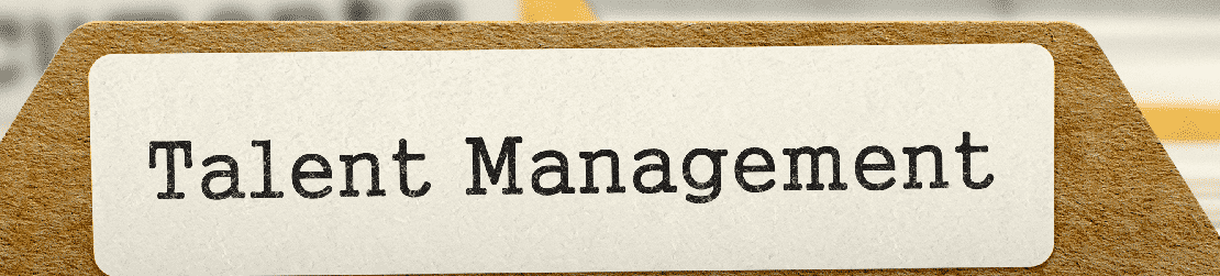 What Makes a Good Talent Management System