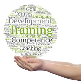 Webanywhere Professional Development Training