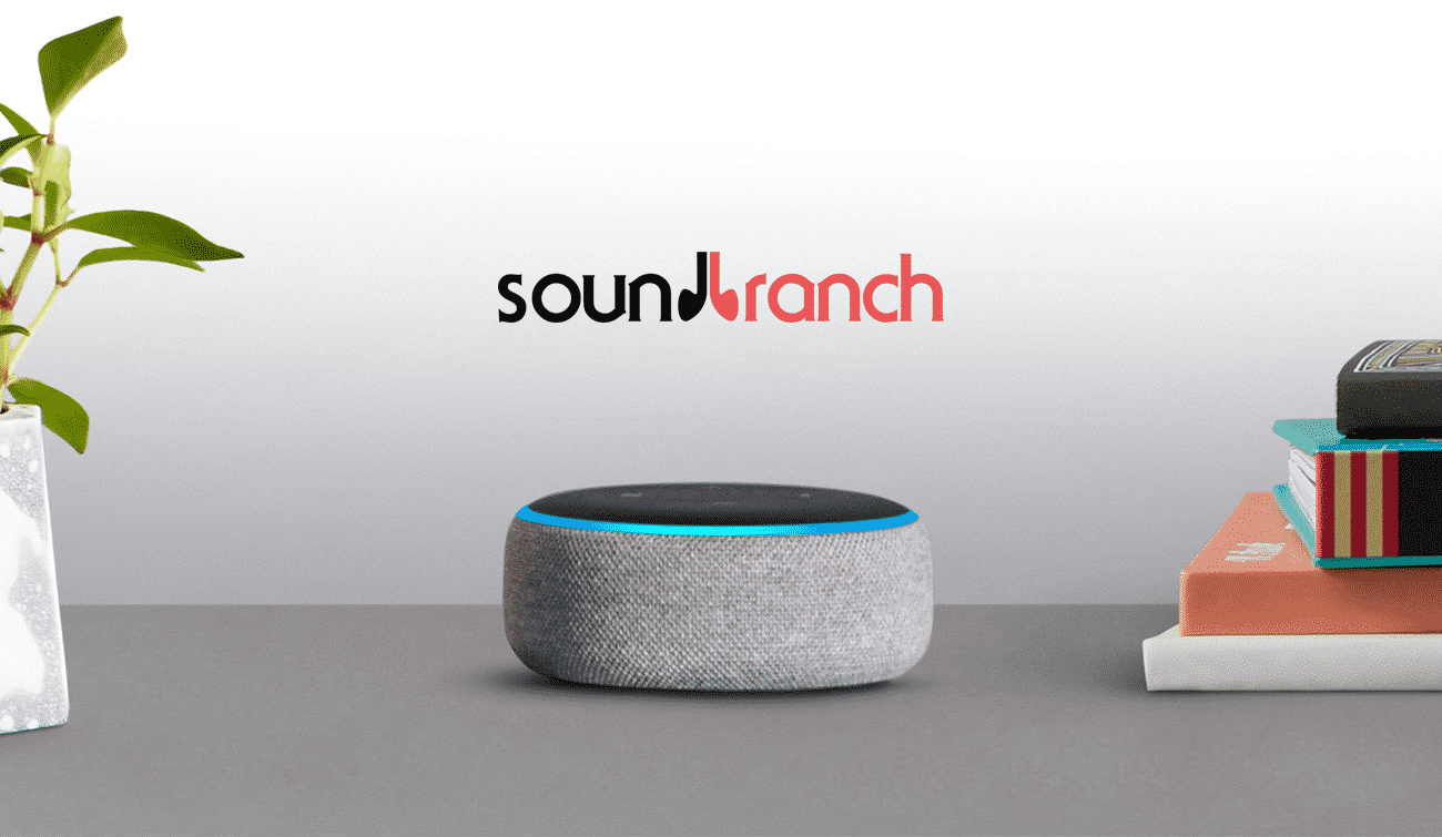alexa skills development