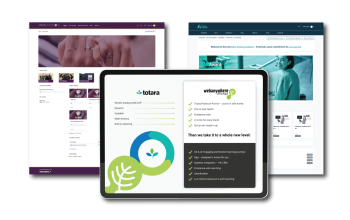 Bespoke LMS Development for Organisations