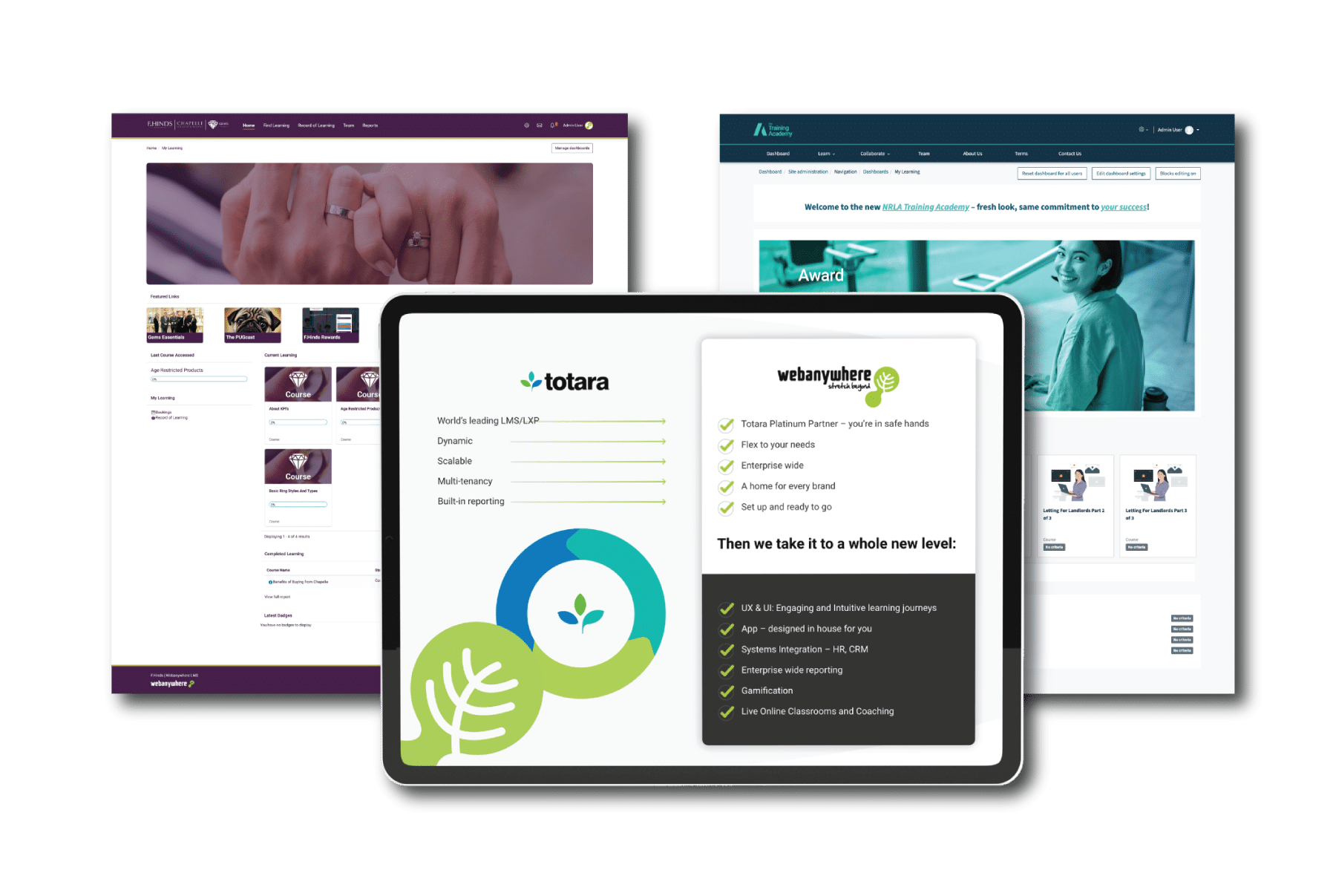 Bespoke LMS Development