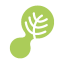 webanywhere-icon